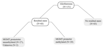 standard treatment를 받은 glioblastoma 환자의 subtype분류법