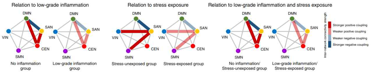 스트레스 노출 및 염증 수준에 따른 뇌 기능적 네트워크 연결성 차이