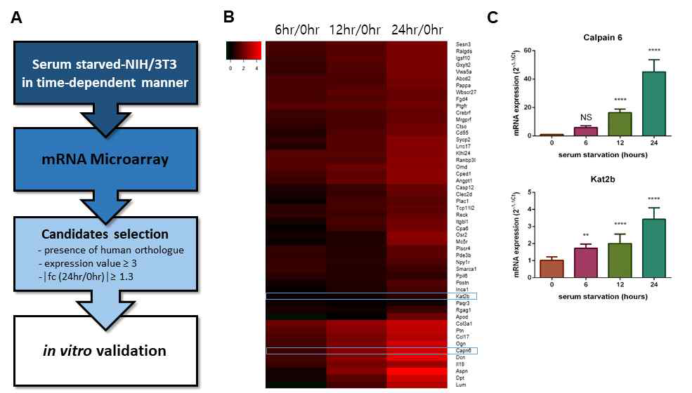 mRNA microarray 재분석을 통한 새로운 타겟 발굴 I