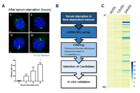 mRNA microarray 재분석을 통한 새로운 타겟 발굴 II