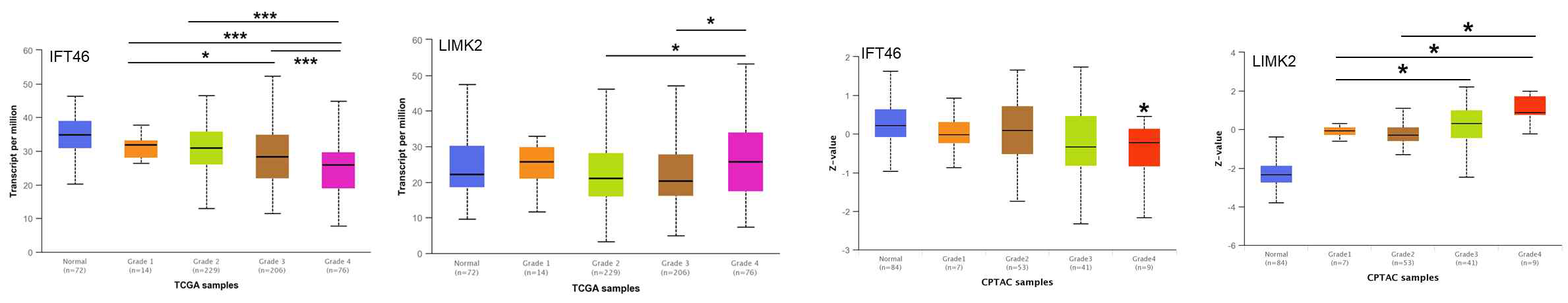 신장암 환자의 tumor grade에 따른 IFT46, LIMK2 발현 패턴 분석 결과
