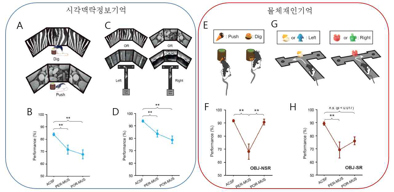 물체재인 기억, 시각맥락적 정보기억 행동실험과 결과 (A)시각맥락정보기억 비공간 행동 과제 (B)시각맥락정보기억 비공간 행동 과제의 약물 실험 결과 (C)시각맥락정보기억 공간 행동 과제 (D)시각맥락정보기억 공간 행동 과제의 약물 실험 결과 (E)물체재인기억 비공간 행동 과제 (F)물체재인기억 비공간 행동 과제 약물 실험 결과 (G)물체재인기억 공간 행동 과제 (H)물체재인기억 공간 행동 과제 약물 실험 결과(Park et al., 2017)