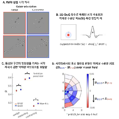 시각피질의 억제성 신경회로망을 탐구하기 위한 실험 패러다임 및 지표 정량화 방법과 억제성 수용장의 기능적 특징