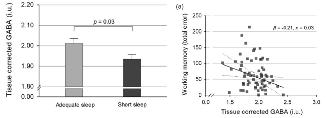 수면 부족에 따른 전전두엽 GABA 농도와 작업기억력 간의 연관성