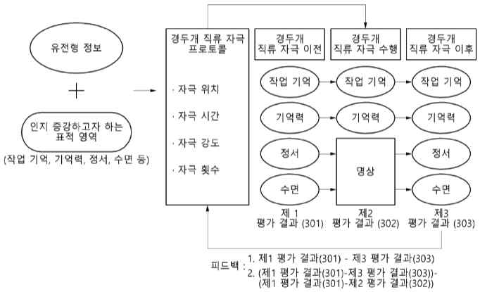 개인별 외상후증후군 특성에 기반한 맞춤형 뇌신경조절 프로토콜 제공 기술