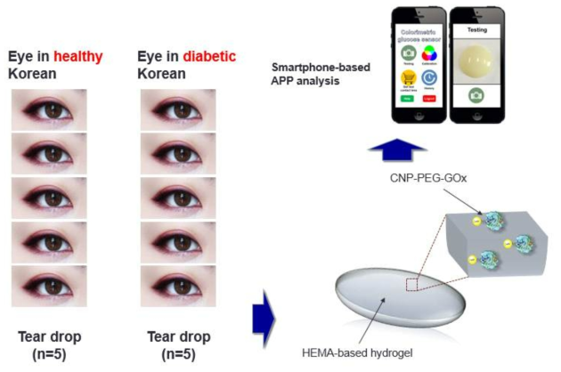 임상 눈물 검체를 이용한 눈물내 포도당 농도 측정 플랫폼 모식도