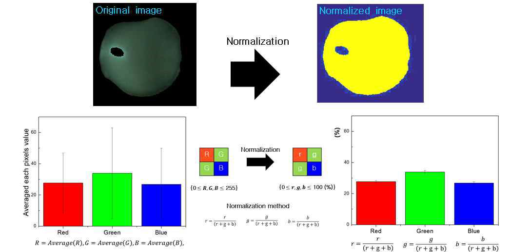 실제 촬영된 영상에 활용된 Normalization method 및 결과