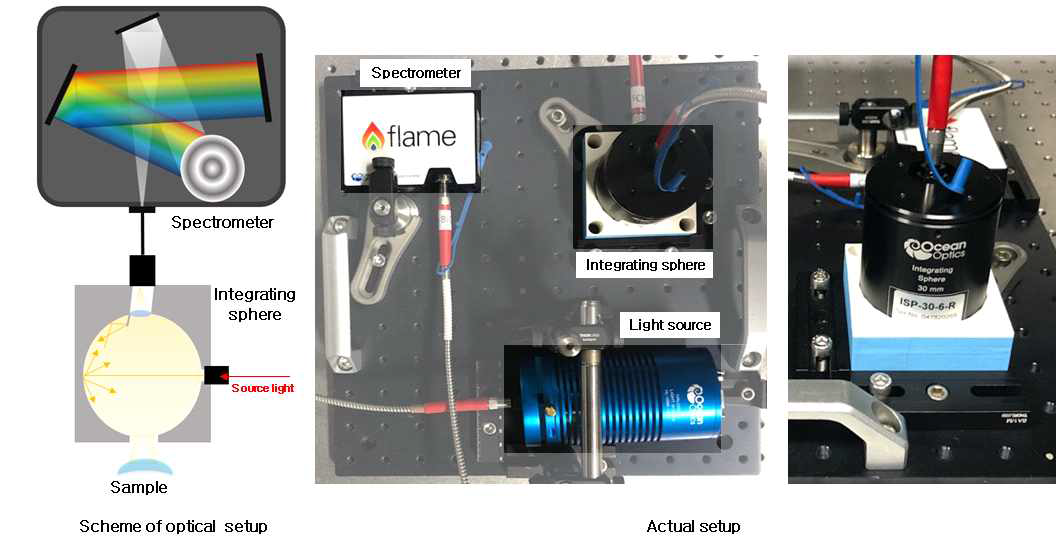구성된 질병인자 발색 측정 분광계 광학시스템