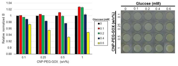 다양한 포도당 농도(0~0.6mM)에서 CNP-PEG-GOX 나노복합체의 농도에 따른 발색변화