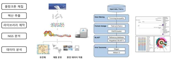 차세대염기서열 분석을 위한 연구 모식도
