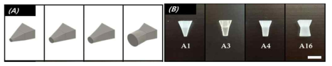 (A) 3D 모델링 프로그램을 이용하여 디자인한 스트립 tip 형상 (B) 3D 프린팅을 이용 실제 제작한 스트립 tip, Scale bar: 5 mm