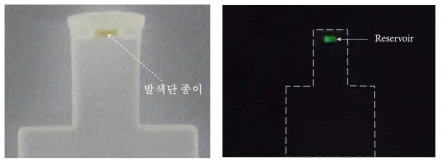(좌) 일체형으로 제작한 스트립 센서에 탑재된 발색단 종이 (우) 형광물질이 녹은 눈물 모사 용액 포집 후 찍은 스트립 센서 형광 이미지