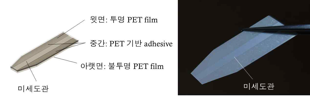 (좌) PET film 기반의 미세도관 모식도, (우) 제작된 미세도관