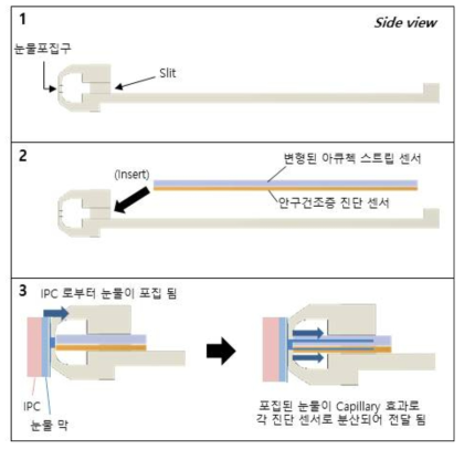 눈물 포집기와 다중 질환 진단 센서 결합 과정 및 눈물 포집기에서 포집된 눈물이 각 센서로 분산되어 전달되는 과정