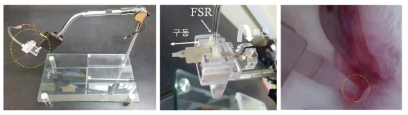 (좌) 자체 제작한 단방향 구동 장치, (중간) 스트립 tip과 FSR이 직렬로 연결되고 나사 조임을 통하여 미세한 이동이 가능한 단방향 구동장치, (우) 전안부 조직에 tip을 인가한 사진