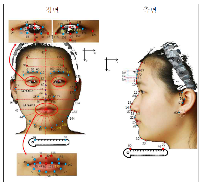 정면, 측면 영상에서의 특징점