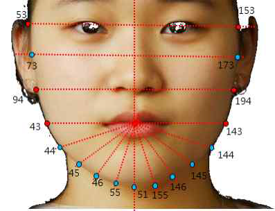 안면 외곽선 특징점 도시