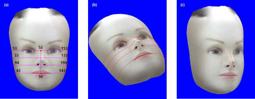 선택된 두 특징점의 2차원 Orthographic projection 영상(a)과 3차원 가시화(b), (c)의 예