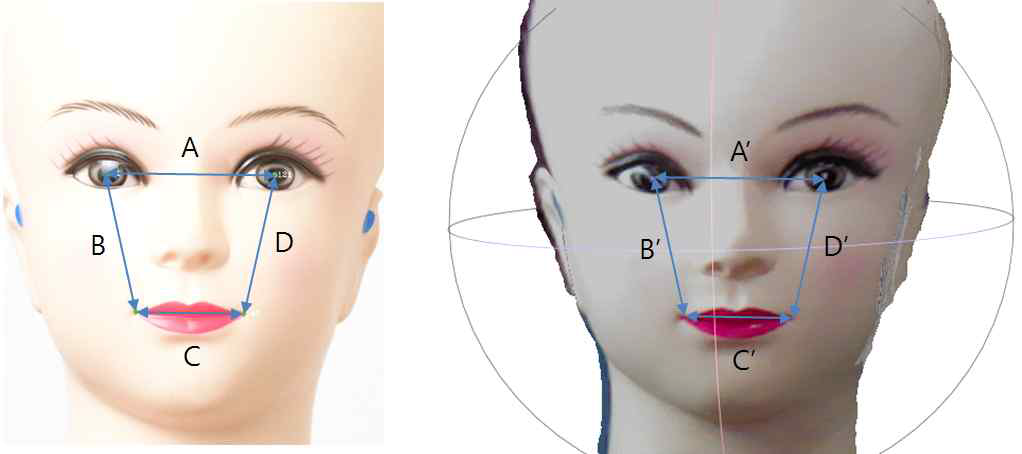 2차원 및 3차원 측정에 대해서 4개의 안면 길이 비교