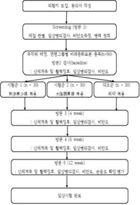 연구자 임상시험 대상자 임상시험 진행 순서도