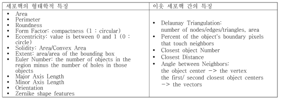 세포 영상기반 추출 표현형 특징의 종류