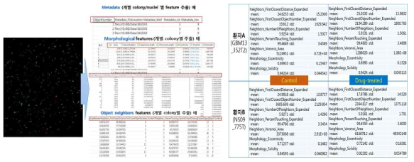 세포 표현형 특징 추출 예 (좌) 세포 영상 내 개별/군집 세포핵 표현형 특징 추출 결과 (우) 웰 영상 내 표현형 특징 추출 결과