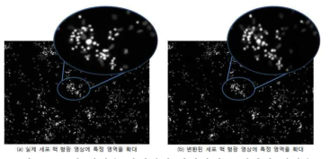 특정 영역을 확대하여 복잡하게 군집화된 영역을 시각적으로 비교