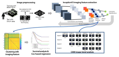 추출한 image feature를 활용하여 유의미하게 나뉜 survival 그룹별 임상적 특징 확인 개요도
