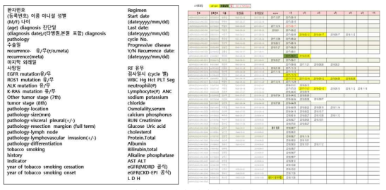 수집된 환자의 임상정보
