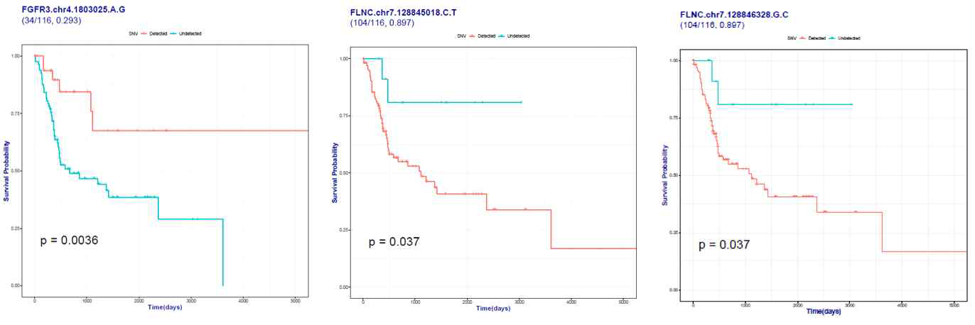 검출된 아미노산 단위의 Functional 변이 존재 여부에 따른 Kaplan-Meier 생존 분석