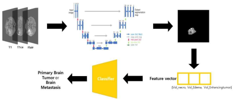 원발성뇌암, 뇌전이암 구분을위한 전처리 및 실험과정 전체 과정