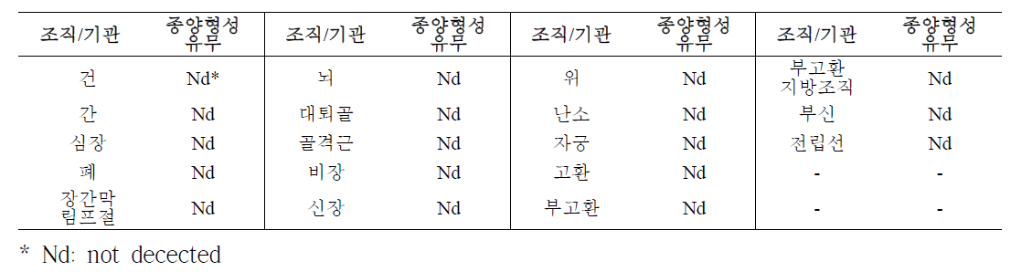 줄기세포 투여 후 종양원성 시험 결과