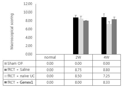 회전근개 파열 모델의 극상건에 saline 을 주사한 그룹과, naive UC-MSC, GeneX1-UC-MSC를 주사한 그룹의 macroscopic scoring 그래프