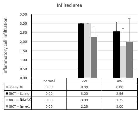 회전근개 파열 모델의 극상건에 saline을 주사한 그룹과, naive UC-MSC, GeneX1-UC-MSC를 주사한 그룹의 inflammatory cell이 infiltration 된 area 그래프