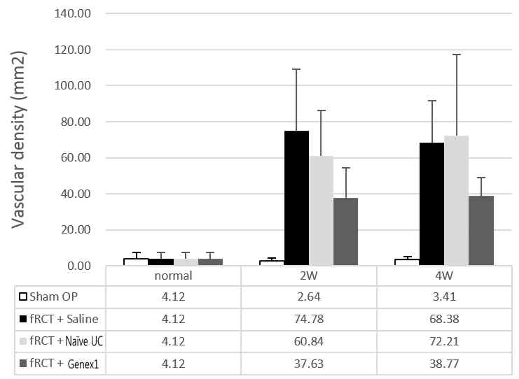 회전근개 파열 모델의 극상건에 saline 을 주사한 그룹과, naive UC-MSC, GeneX1-UC-MSC를 주사한 그룹의 vascular density 그래프