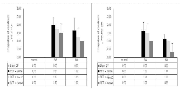 회전근개 파열 모델의 극상건에 saline을 주사한 그룹과, naive UC-MSC, GeneX1-UC-MSC를 주사한 그룹의 integration (distal site와 proximal site) 그래프