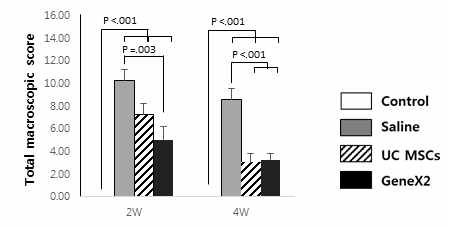 정상 극상건, Saline을 주입한 극상건, UC MSCs를 주입한 극상건, GeneX2를 강화한 UC MSCs를 주입한 극상건의 건의 외형을 평가한 2주와 4주의 Total macroscopic score 그래프