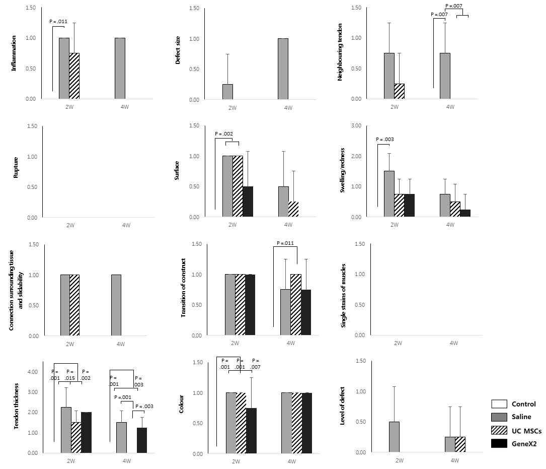 정상 극상건, Saline을 주입한 극상건, UC MSCs를 주입한 극상건, GeneX2를 강화한 UC MSCs를 주입한 극상건의 건의 외형을 평가한 2주와 4주의 macroscopic score 각각의 평가 기준에 따른 결과를 보여주는 그래프