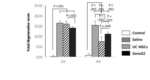 정상 극상건, Saline을 주입한 극상건, UC MSCs를 주입한 극상건, GeneX2를 강화한 UC MSCs를 주입한 극상건의 건의 외형을 평가한 2주와 4주의 조직의 총 퇴행성 변화를 평가한 그래프