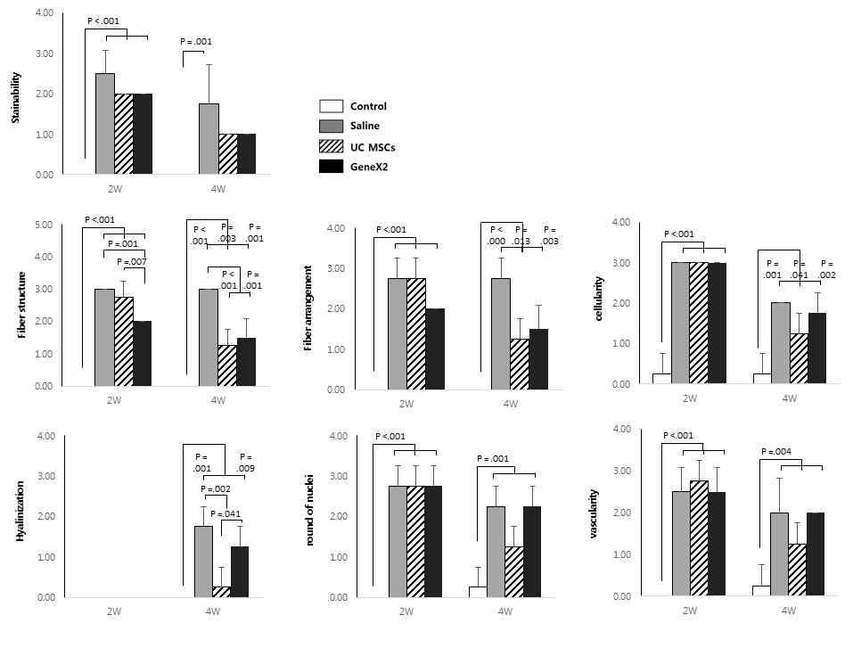 정상 극상건, Saline을 주입한 극상건, UC MSCs를 주입한 극상건, GeneX2를 강화한 UC MSCs 를 주입한 극상건의 건의 외형을 평가한 2주와 4주의 조직의 퇴행성 변화의 기준이 되는 값들의 그래프