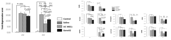 정상 극상건, Saline을 주입한 극상 그림 75 정상 극상건, Saline을 주입한 극상건, UC 건, UC MSCs를 주입한 극상건, GeneX2를 MSCs를 주입한 극상건, GeneX2를 강화한 UC MSCs강화한 UC MSCs를 주입한 극상건의 건의 외 를 주입한 극상건의 건의 외형을 평가한 2주와 4주의 형을 평가한 2주와 4주의 조직의 총 퇴행성 조직의 퇴행성 변화의 기준이 되는 값들의 그래프변화를 평가한 그래프
