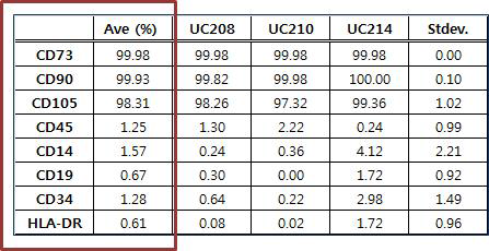 유세포 분석법을 이용한 제대 유래 중간엽 줄기세포의 표현형 확인