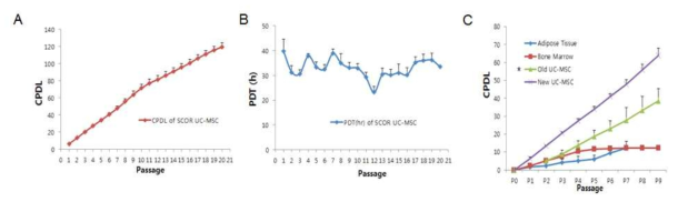 줄기세포 증식능 A. 제대 유래 중간엽 줄기세포의 CPDL B. 제대 유래 중간엽 줄기세포의 PDT C. 성체 조직 유래 및 제대 유래 줄기세포의 CPDL 비교. *기존 분리 방법을 사용한 제대 유래 줄기세포 (Old UC-MSC)와 개선된 분리 방법을 이용하여 분리한 제대 유래 줄기세포(New UC-MSC)