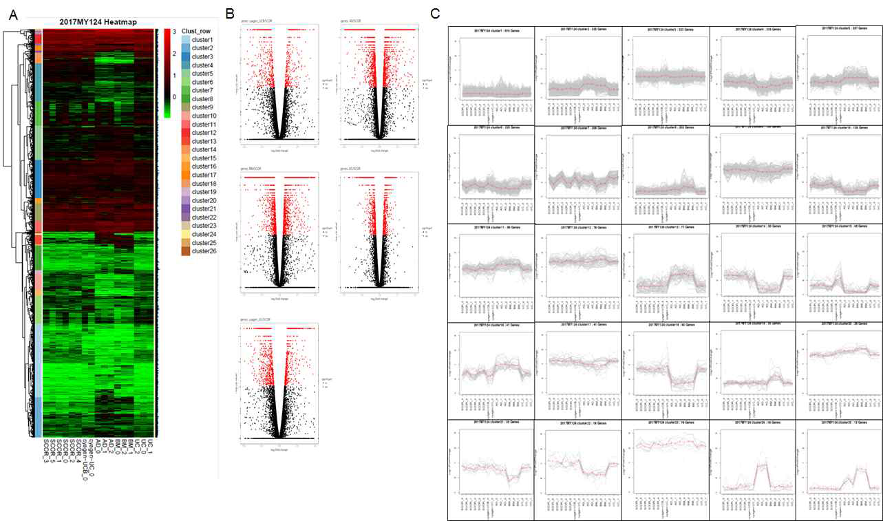 본 연구진이 자체 분리한 UC-MSC, BM-MSC, AD-MSC, Cyagen-UCB, Cyagen-UC간의 RNA sequencing data 비교 A. Hierarchical cluster. B. Volcano plot. C. Trend-line graph