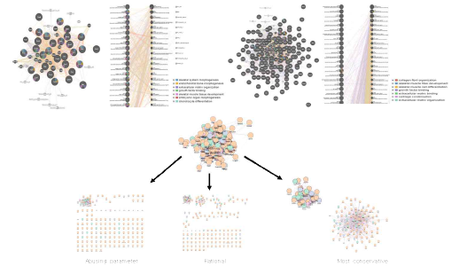 Protein-protein interaction analysis of selected genes from public dataset