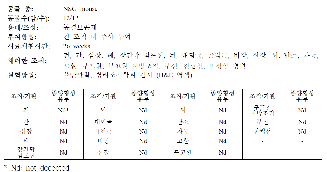 줄기세포 투여 후 종양원성 시험 결과