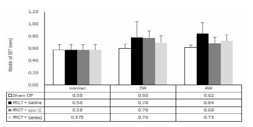 회전근개 파열 모델의 극상건에 saline을 주사한 그룹과, naive UC-MSC, Genex1-UC-MSC를 주사한 그룹의 Cross-sectional area 그래프