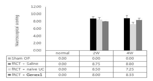 회전근개 파열 모델의 극상건에 saline을 주사한 그룹과, naive UC-MSC, GeneX1-UC-MSC를 주사한 그룹의 macroscopic scoring 그래프