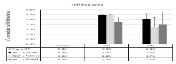 회전근개 파열 모델의 극상건에 saline을 주사한 그룹과, naive UC-MSC, GeneX1-UC-MSC를 주사한 그룹의 inflammatory cell이 infiltration 된 area 그래프