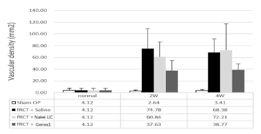 회전근개 파열 모델의 극상건에 saline을 주사한 그룹과, naive UC-MSC, GeneX1-UC-MSC를 주사한 그룹의 vascular density 그래프